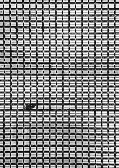 Be Different - a Photographic Art Artowrk by ATELIER PICANTE